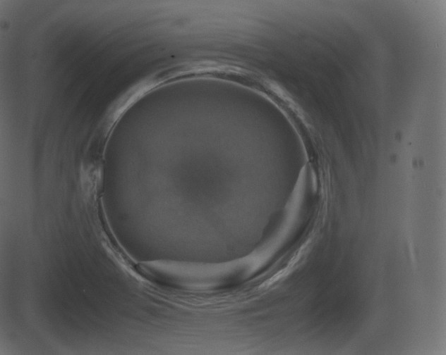 X0000081471369200701121408