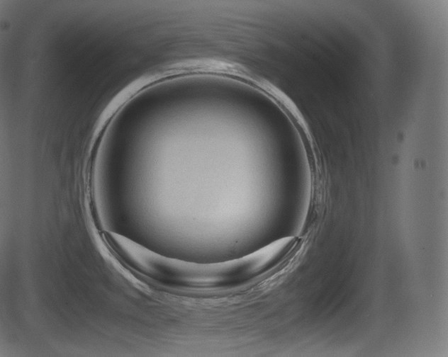 X0000081471389200701121408