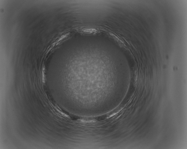 X0000081471394200701121407