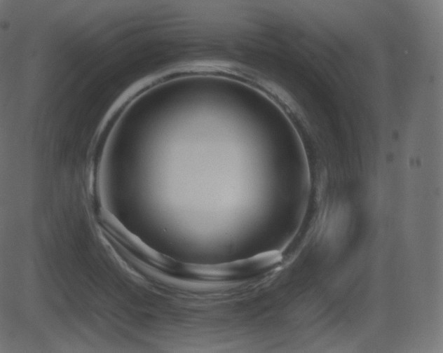 X0000081471420200701121408