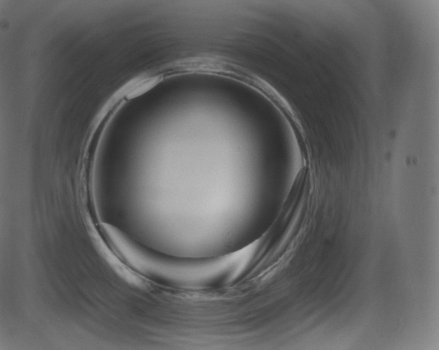 X0000081471434200701121408