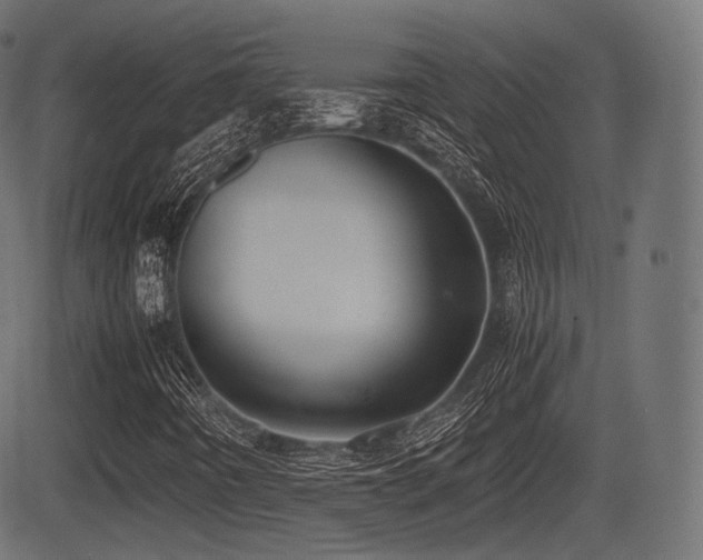 X0000081471442200701121407