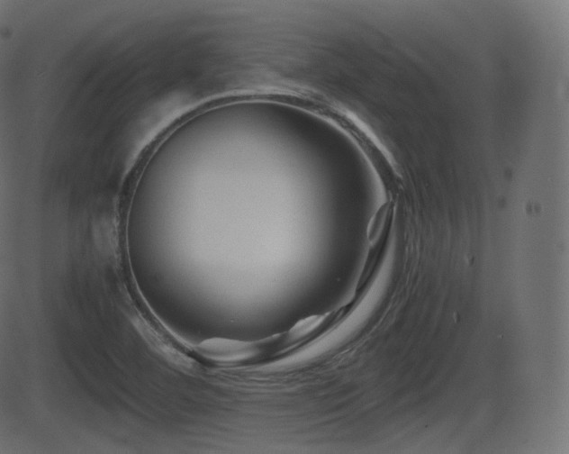 X0000081471460200701121407