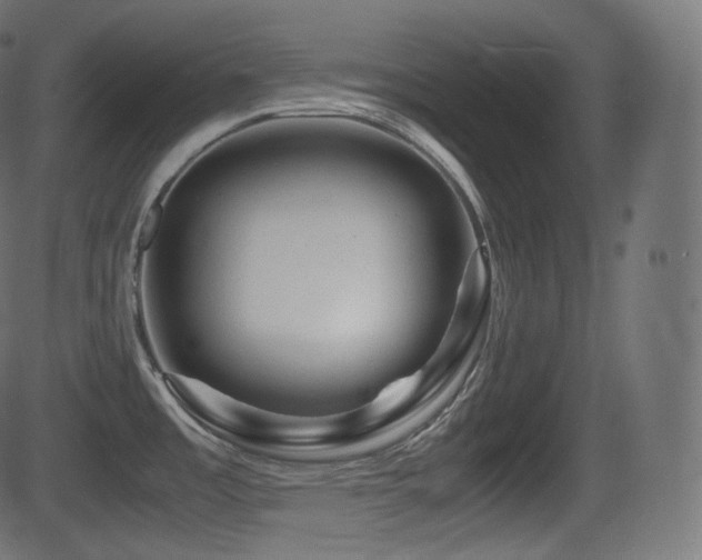 X0000081471485200701121406