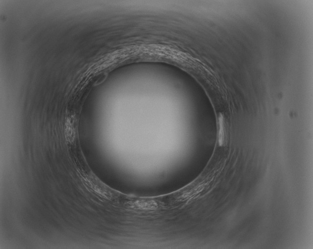 X0000081471491200701121406
