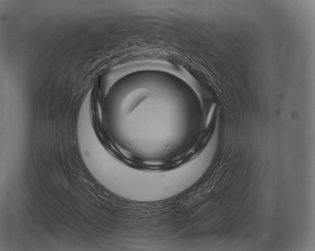 X0000081471492200701121406