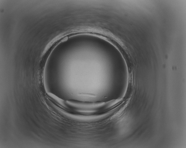 X0000081471501200701121406
