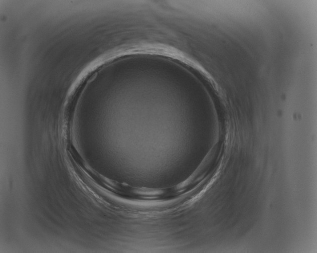 X0000081471506200701121406