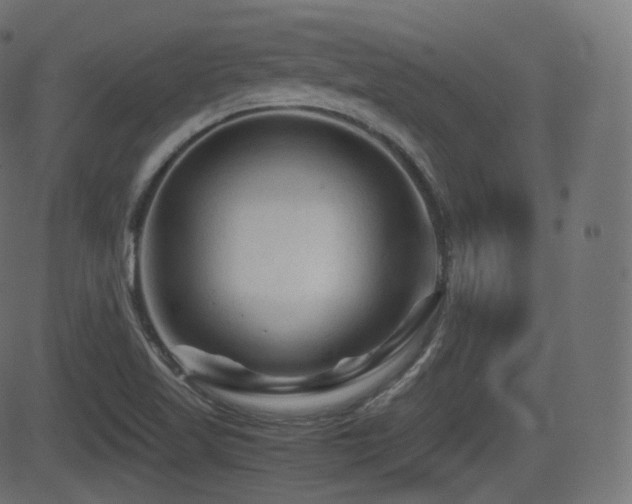 X0000081471509200701121406