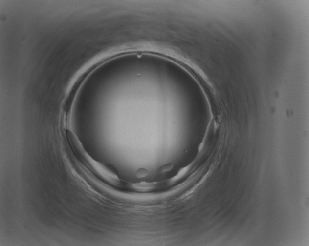 X0000081471510200701121406