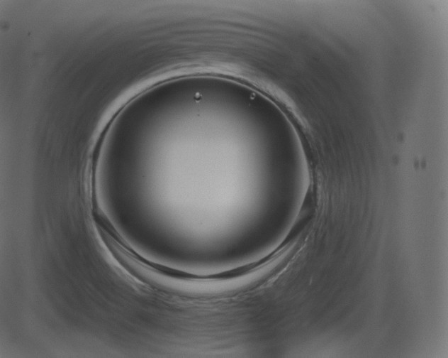 X0000081471516200701121406