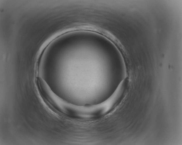 X0000081471520200701121406