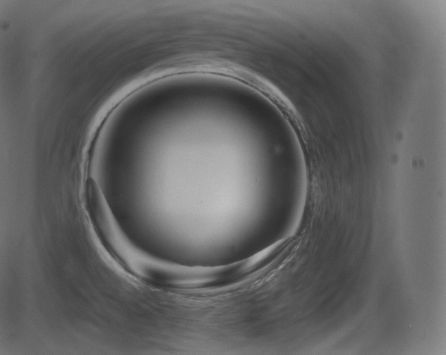 X0000081471528200701121406