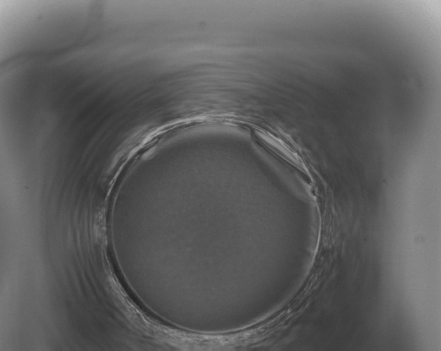 X0000081470002200701191818