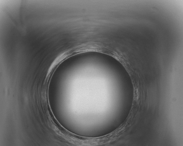 X0000081470004200701191818