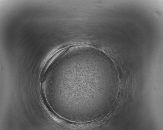 X0000081470005200701191818