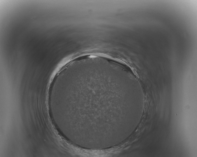 X0000081470006200701191818