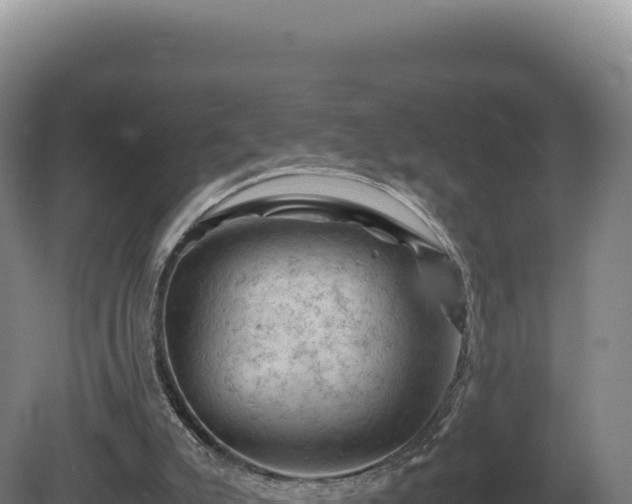 X0000081470007200701191818