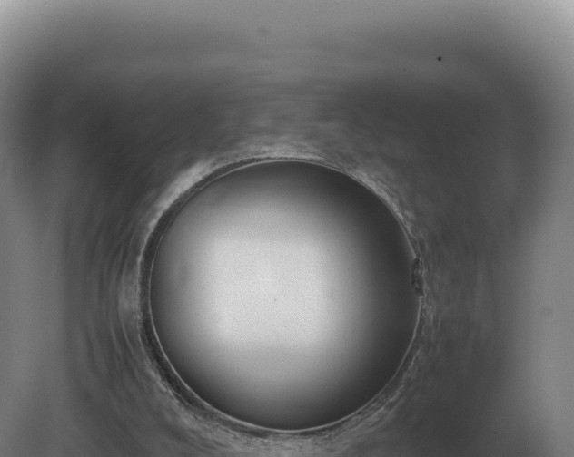 X0000081470008200701191818