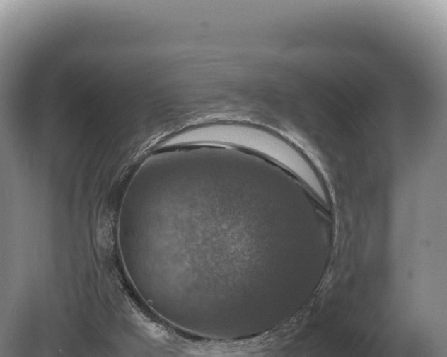 X0000081470009200701191818