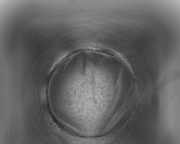 X0000081470010200701191818