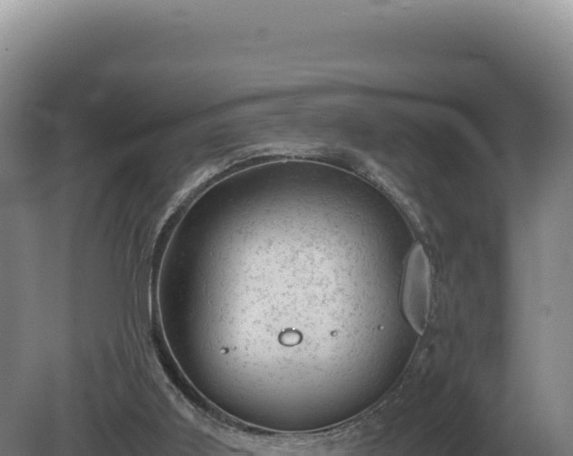 X0000081470011200701191818