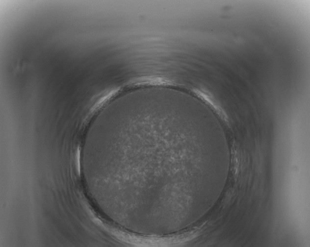 X0000081470014200701191818