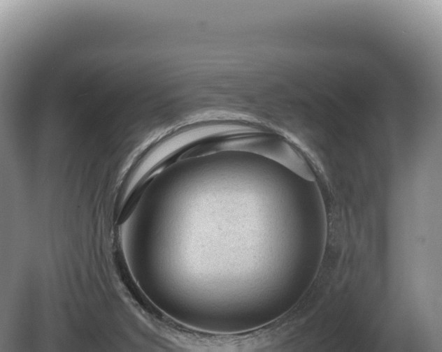 X0000081470015200701191818