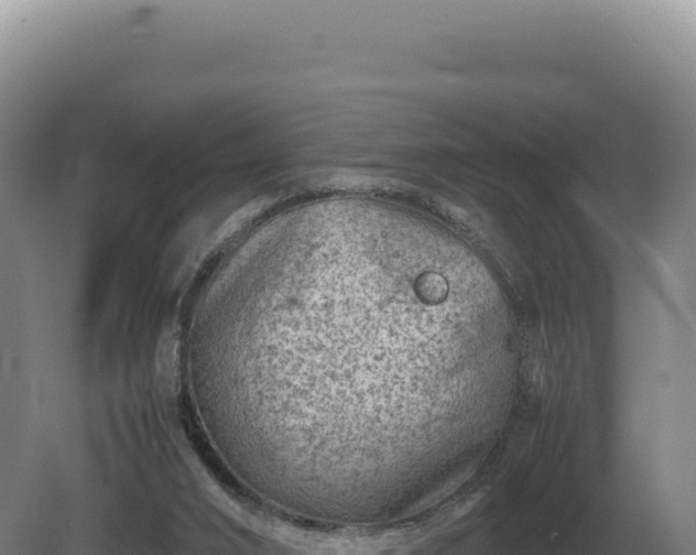 X0000081470016200701191817