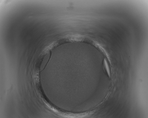 X0000081470017200701191817