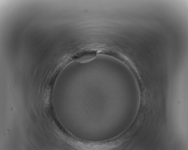 X0000081470018200701191817