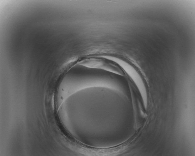 X0000081470019200701191817