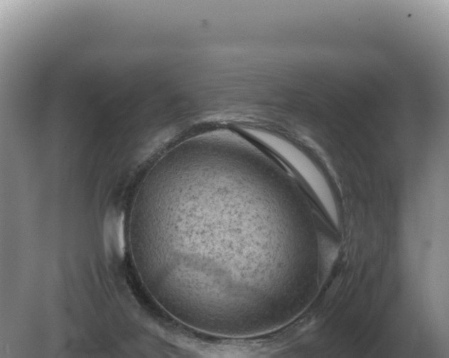 X0000081470020200701191817