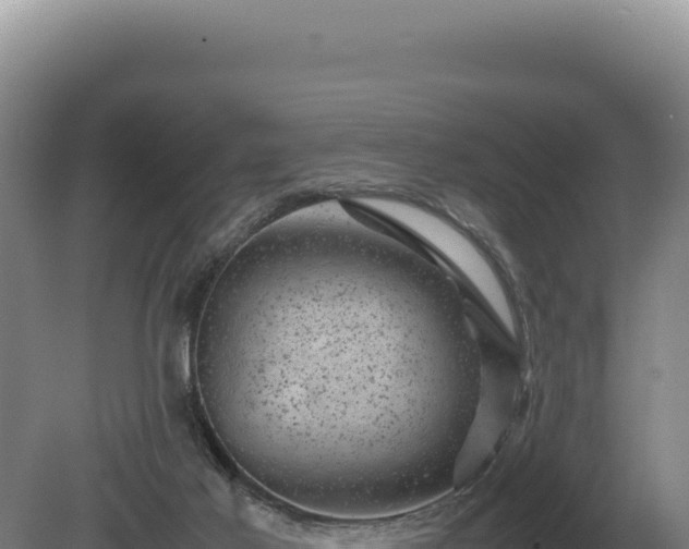 X0000081470021200701191817