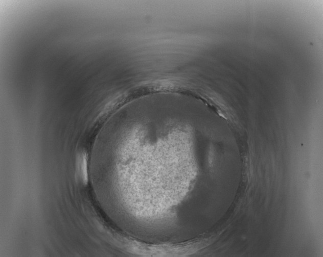 X0000081470022200701191817