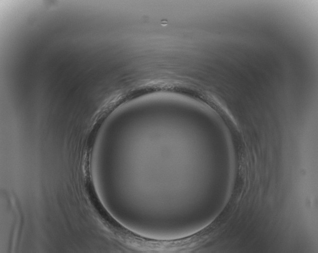 X0000081470023200701191817