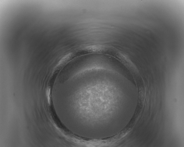 X0000081470024200701191817