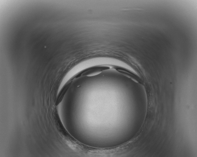 X0000081470025200701191817