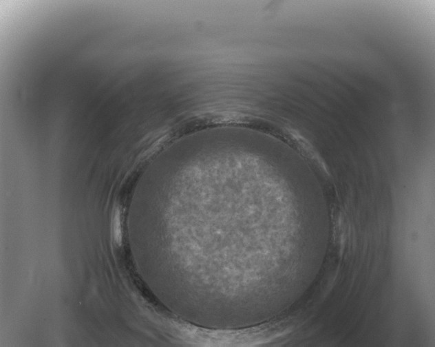 X0000081470026200701191817