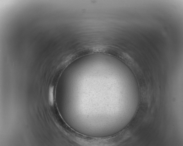 X0000081470028200701191817