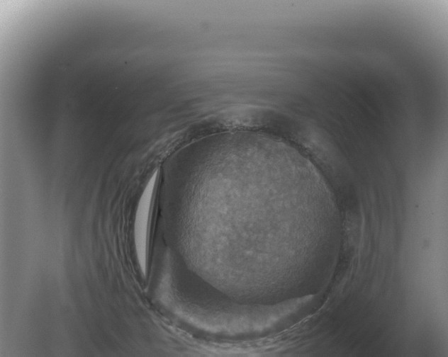 X0000081470029200701191817