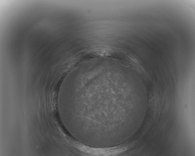 X0000081470030200701191817