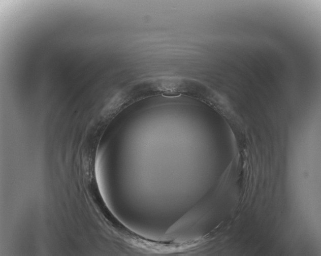 X0000081470031200701191817