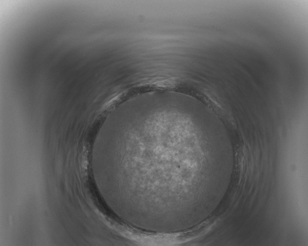 X0000081470032200701191817