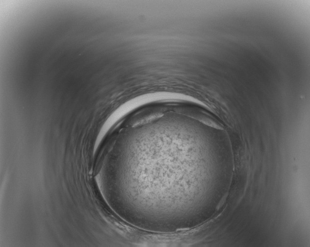 X0000081470033200701191817