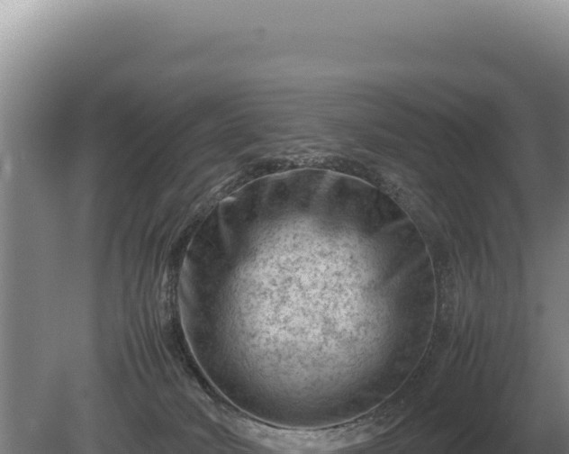 X0000081470034200701191817