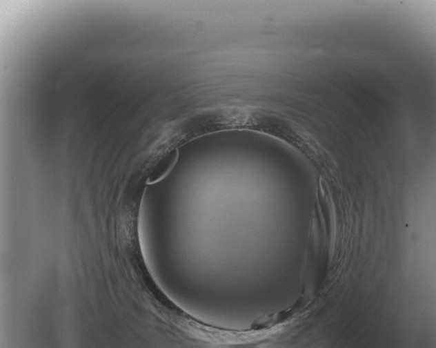 X0000081470035200701191817