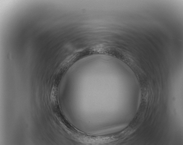 X0000081470036200701191817