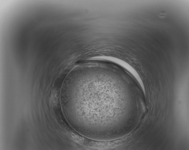 X0000081470037200701191817