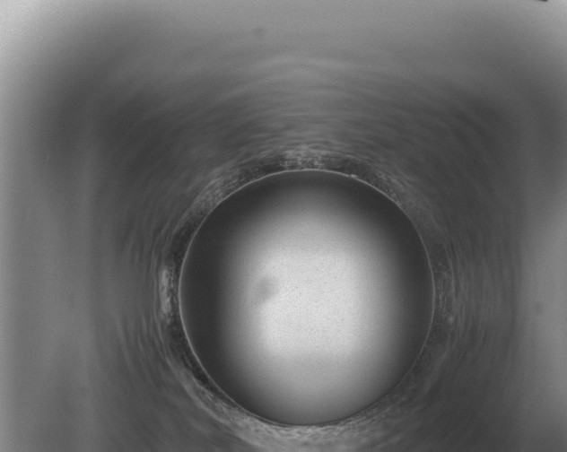 X0000081470038200701191817